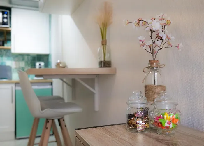 Cosy Studio Toulousaing' Apartment Toulouse