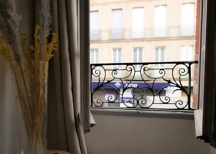 Cosy Studio Toulousaing'