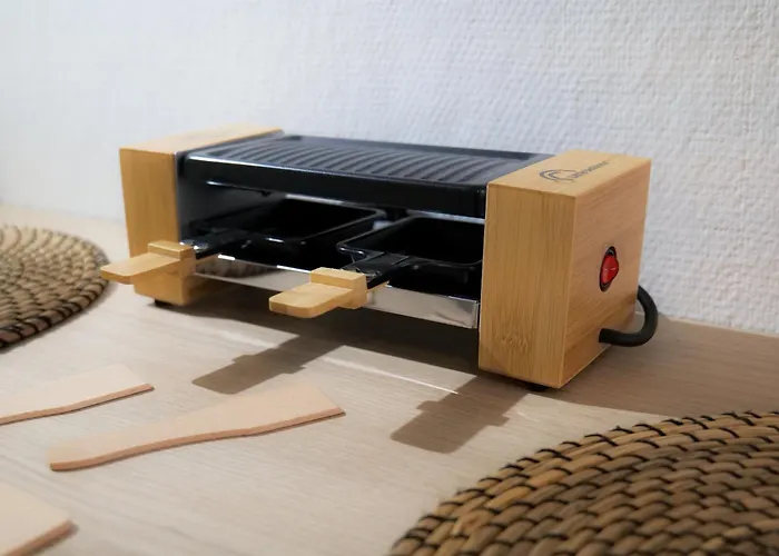 Cosy Studio Toulousaing' Apartment